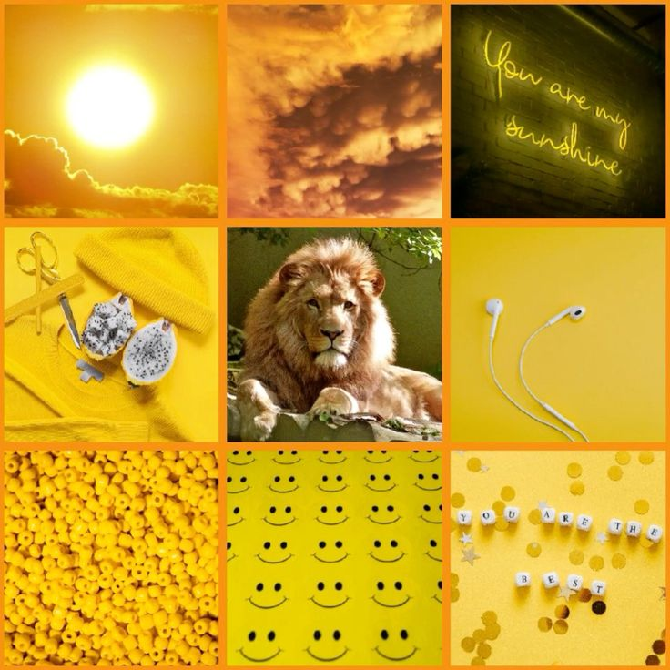 happy lion moodboard F2U